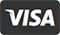 Мы принимаем к оплате карты ViSA